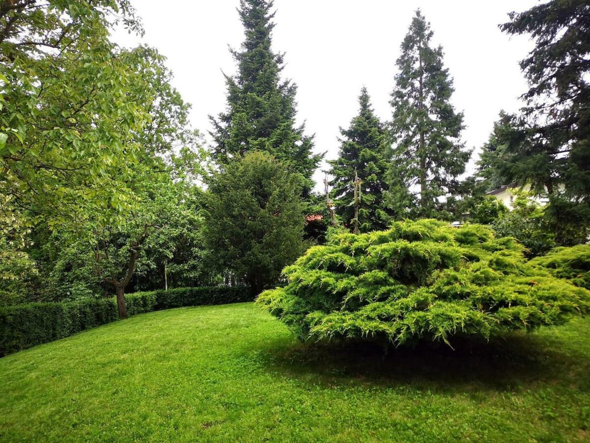 Casa Carla, Immersa Nel Verde Dei Colli Bolognesi Sasso Marconi Εξωτερικό φωτογραφία